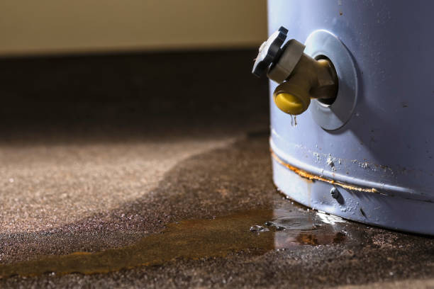 Best Water damage restoration insurance claims  in North Weeki Wachee, FL