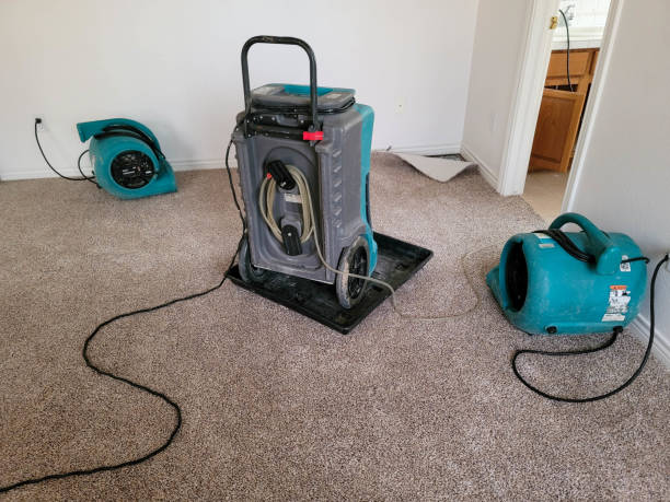 Best Flood damage cleanup  in North Weeki Wachee, FL