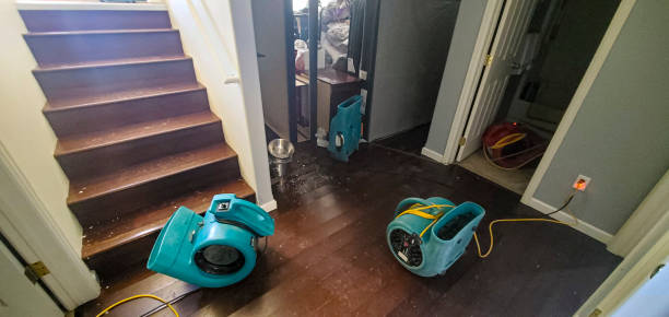 Best Water damage restoration experts  in North Weeki Wachee, FL