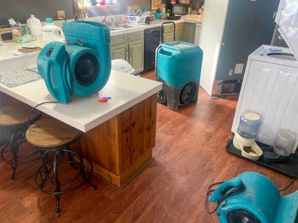  North Weeki Wachee, FL Water damage restoration Pros