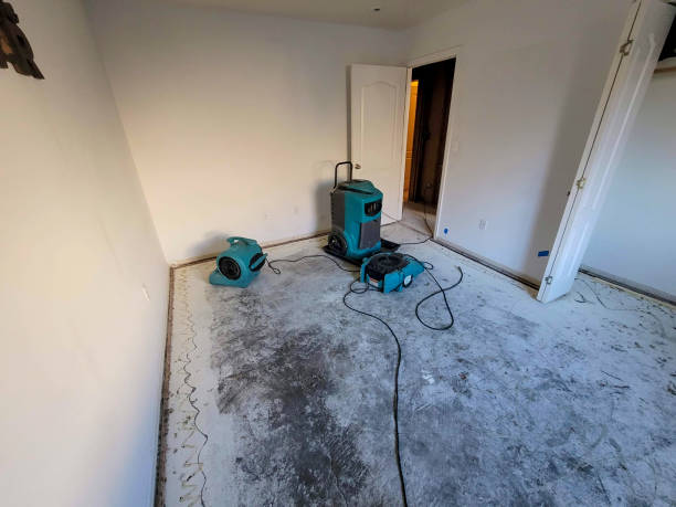 Best Sewage cleanup and water damage restoration  in North Weeki Wachee, FL