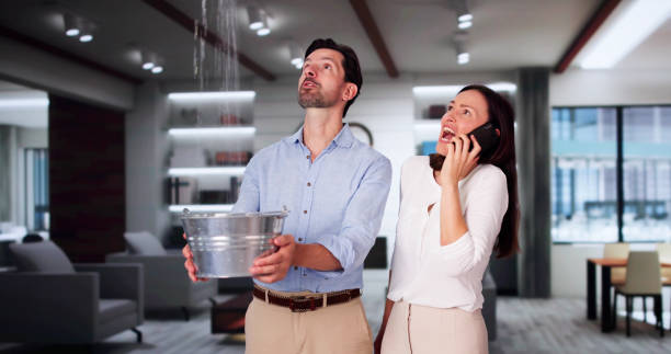 Best Water damage restoration near me  in North Weeki Wachee, FL