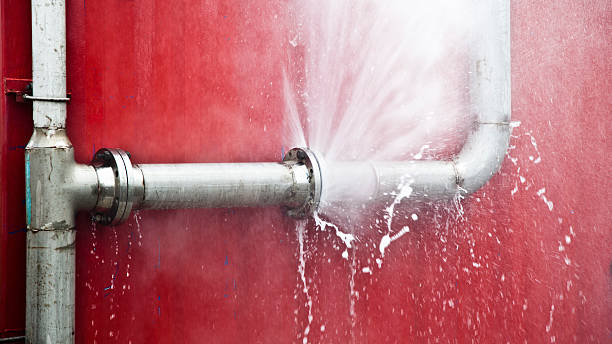 Best Water damage restoration specialists  in North Weeki Wachee, FL