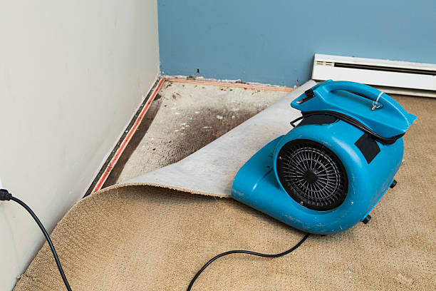 Best Flood restoration services  in North Weeki Wachee, FL